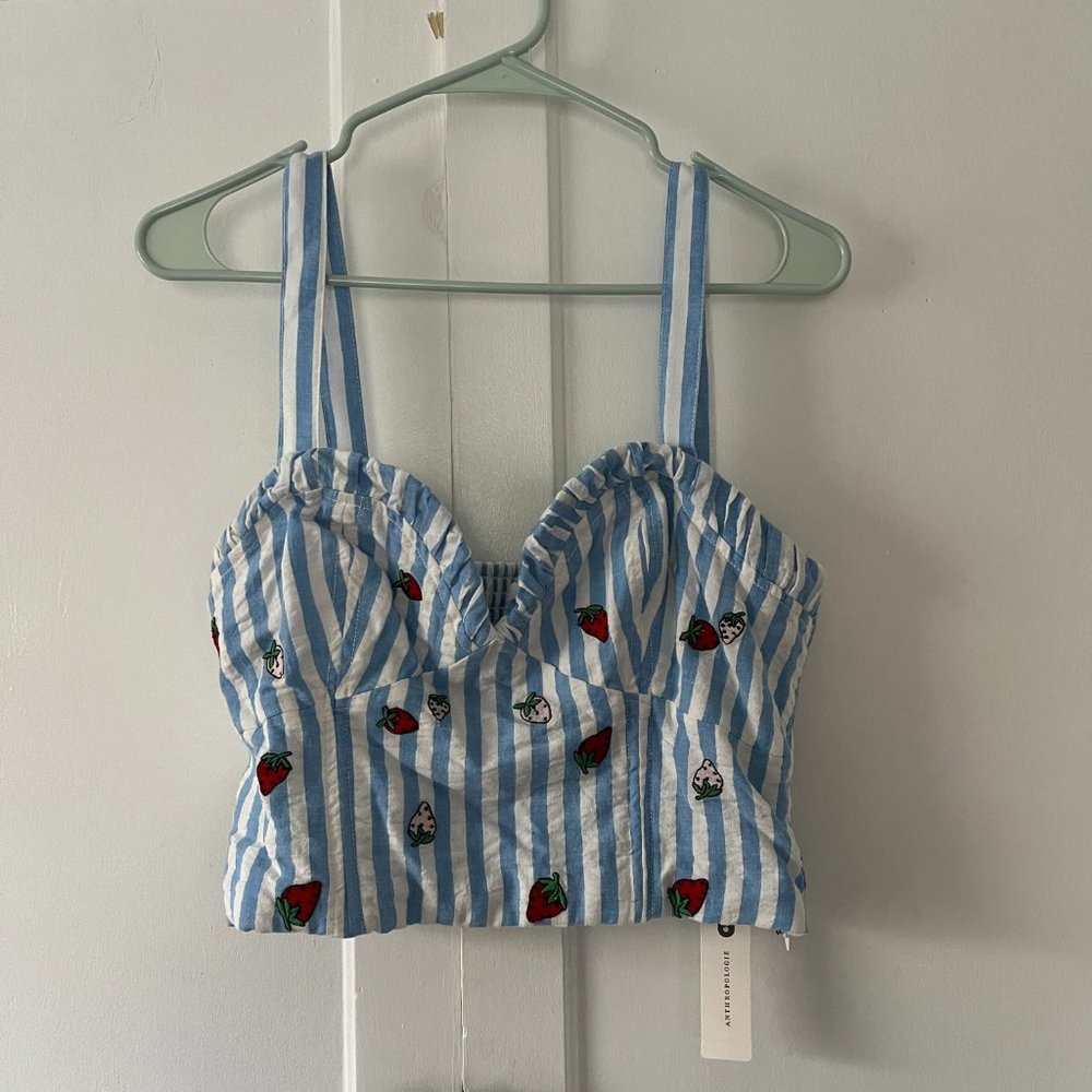 NWT Anthropologie Striped Strawberry Tank